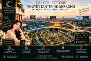 Nguyễn Duy Trinh Mở Rộng Tác Động Thế Nào Đến The Collectors'?